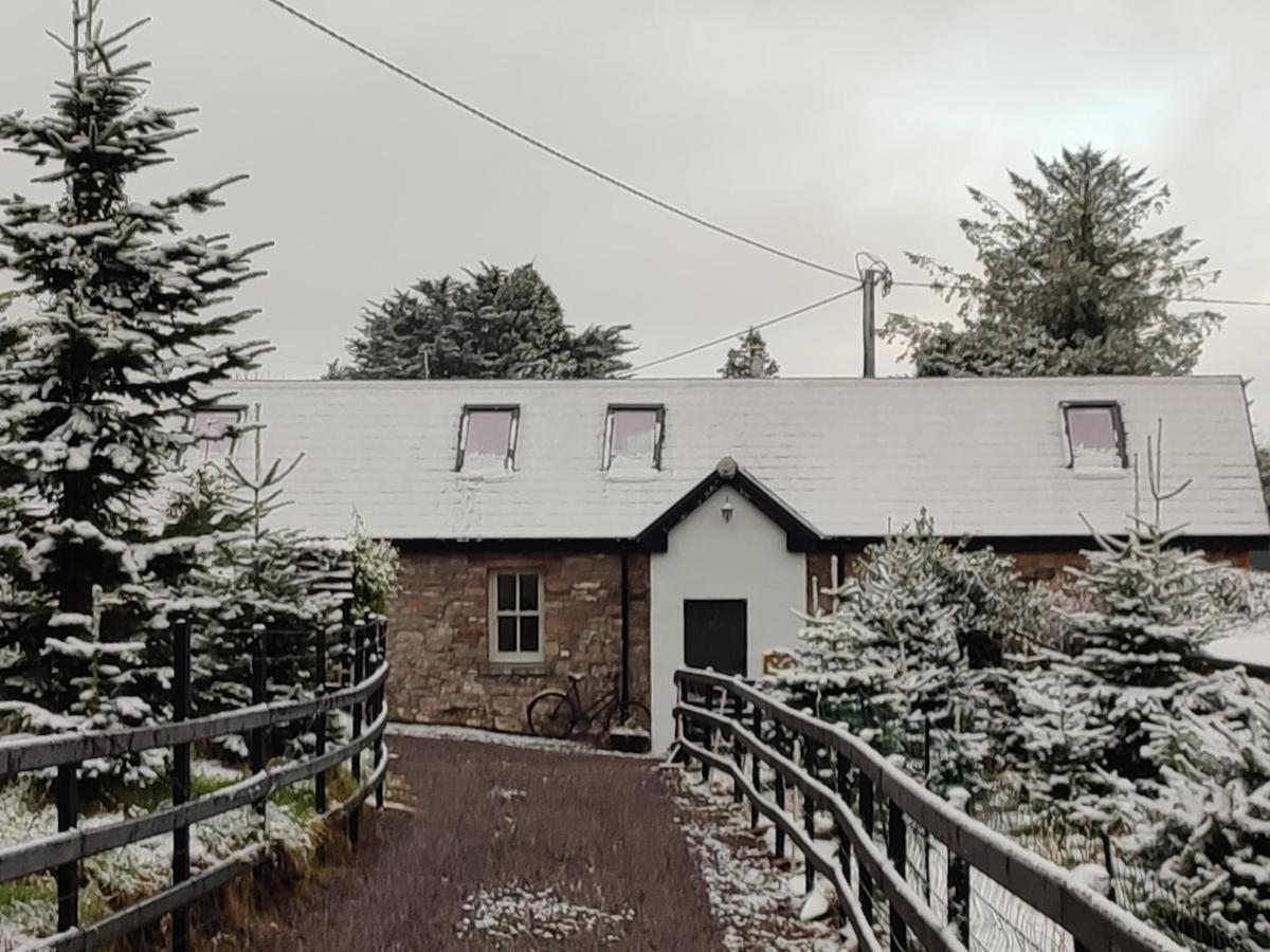 The Old House At Belfield