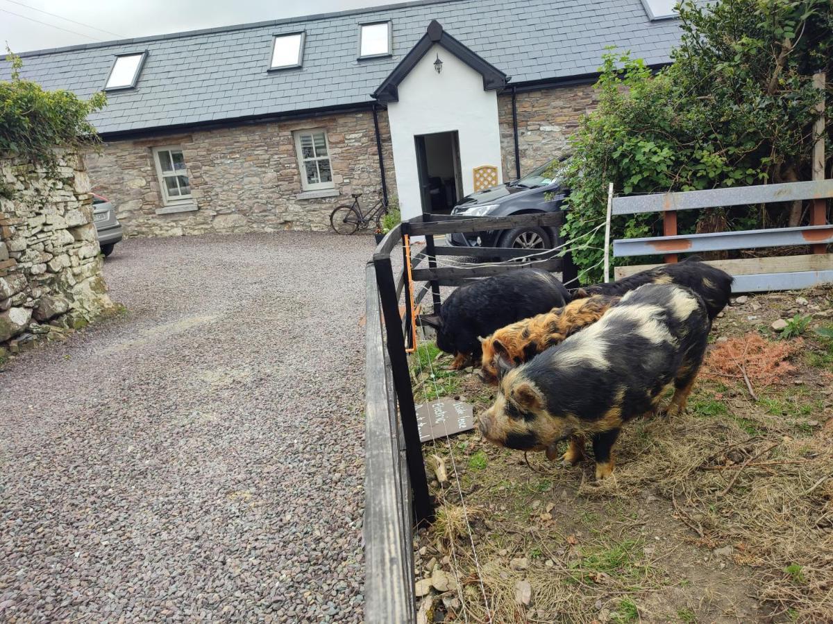 The Old House At Belfield * Tralee