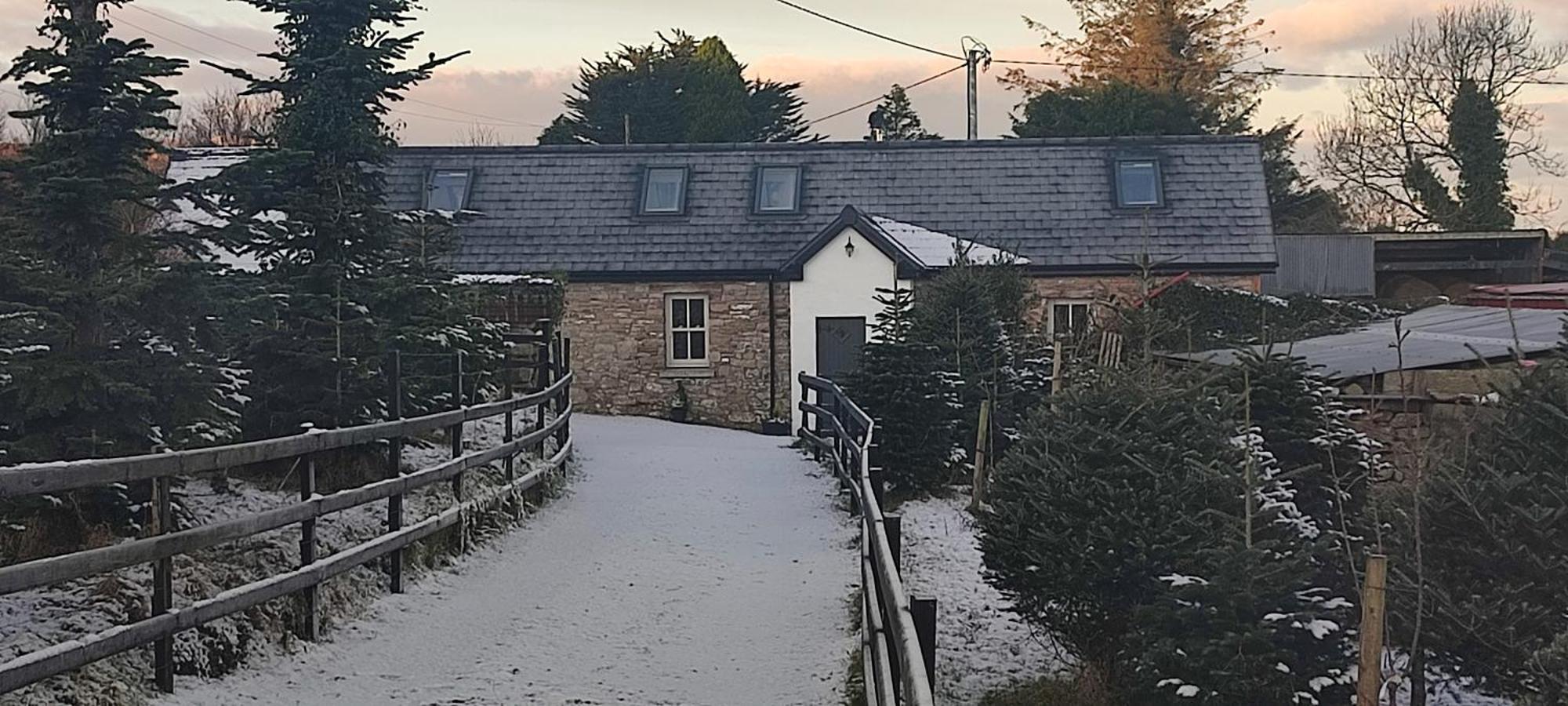 The Old House At Belfield *