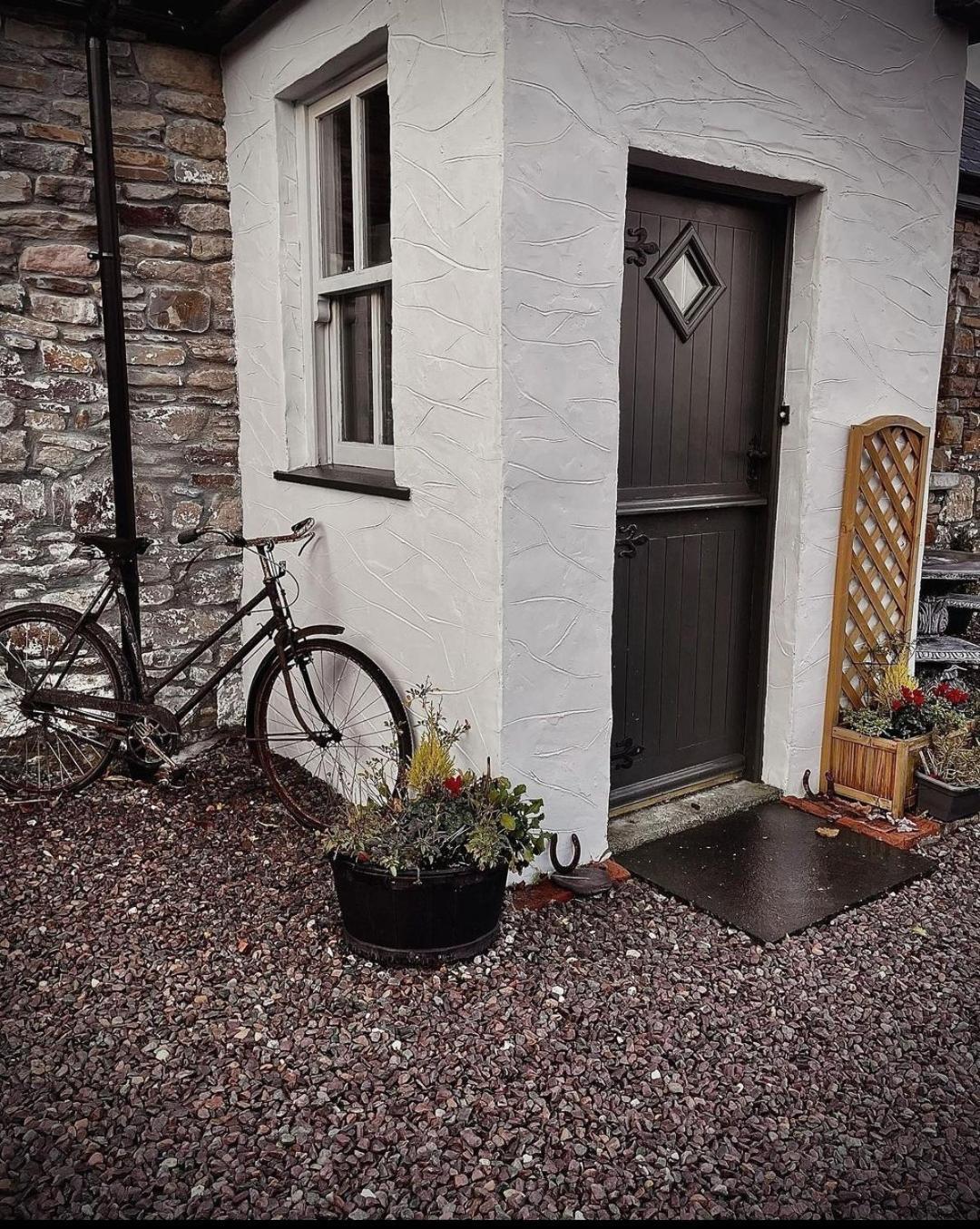 The Old House At Belfield * Trá Lí