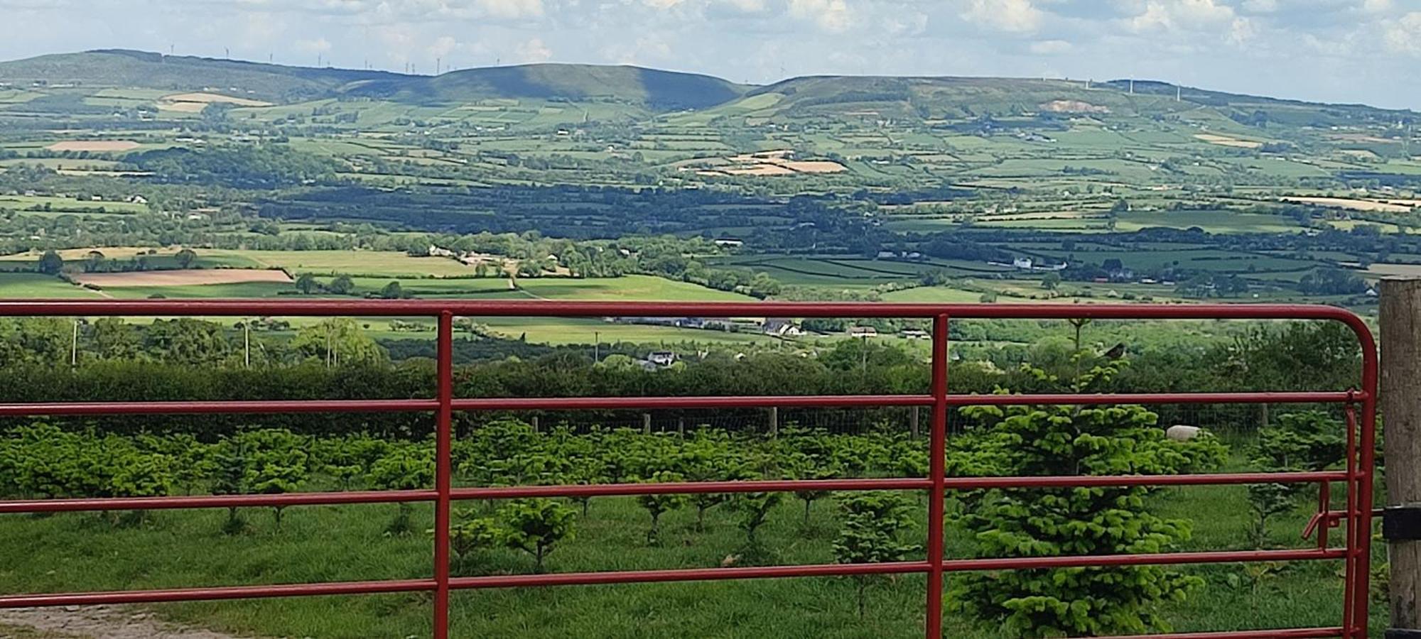 The Old House At Belfield * Tralee